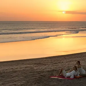 https://berry-amour-villas.ubudhotelsnow.com